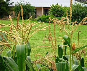 Experiment Farm Cottage - Accommodation Sydney 4