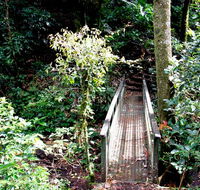 Richmond Range National Park - Accommodation Sydney