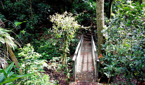 Richmond Range National Park - Accommodation Sydney 0
