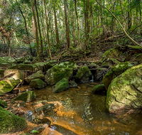 Palm Grove Nature Reserve - Sydney 4u
