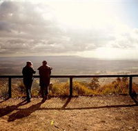 Heaton State Forest - Watagan Mountains - Accommodation Sydney