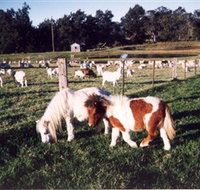 Trudgalong Farm - Accommodation Sydney