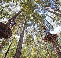 TreeTop Adventure Park Central Coast - Accommodation Sydney