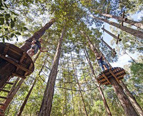 TreeTop Adventure Park Central Coast - Sydney 4u 0