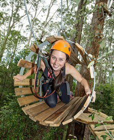 TreeTop Adventure Park Central Coast - Sydney 4u 3