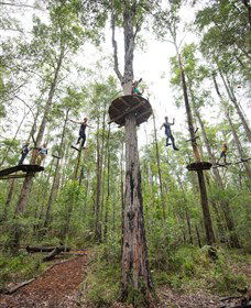TreeTop Adventure Park Central Coast - Sydney 4u 4