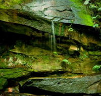 Strickland State Forest - Sydney 4u