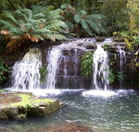 Barrington Tops National Park Walks - Accommodation Sydney