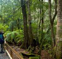 Monga National Park - Accommodation Sydney