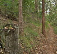 Border loop walk - Sydney 4u