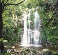 Budderoo National Park - The Falls Walk - Accommodation Sydney
