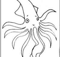 Squid Studio - Sydney Resort