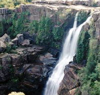 Minnamurra Rainforest Centre Budderoo National Park - Accommodation Sydney