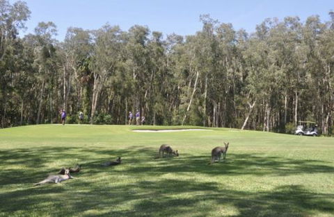 Emerald Downs Golf Course - Accommodation Sydney 4