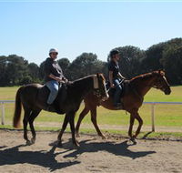 Centennial Parklands Equestrian Centre - Accommodation Sydney