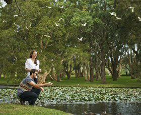 Centennial Parklands - Accommodation Sydney 3