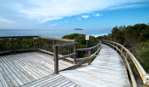 Tea Tree Picnic Area And Lookout - Sydney 4u 0
