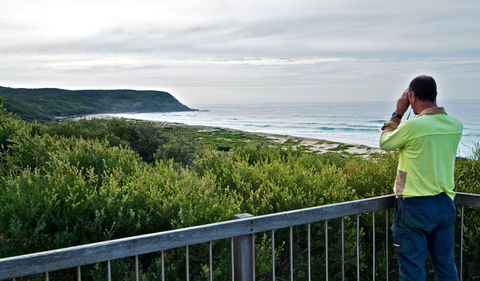 Tea Tree Picnic Area And Lookout - Sydney 4u 2