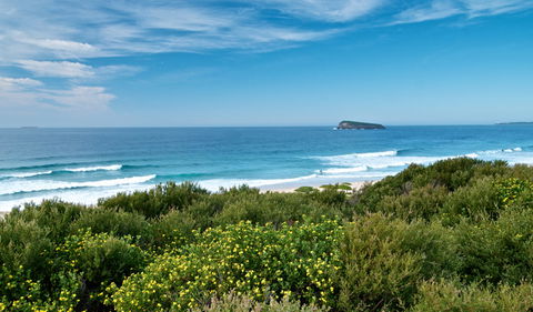 Tea Tree Picnic Area And Lookout - Sydney 4u 3