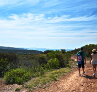 Moonee Beach trail - Accommodation Sydney