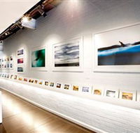 Aquabumps - Accommodation Sydney