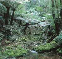 The Corn Trail Walk - Accommodation Sydney