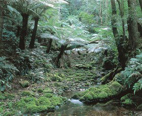 The Corn Trail Walk - Sydney 4u 0