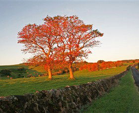 Saddleback Mountain Lookout - Accommodation Sydney 2