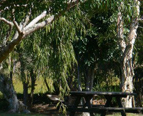 Shannon Brook NSW Sydney 4u