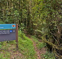 Red Cedar loop - Sydney 4u