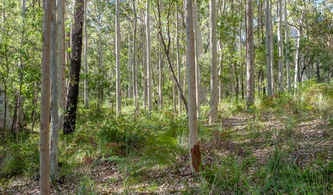 Anabranch Loop Track - Accommodation Sydney 2