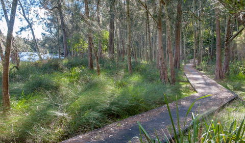 Anabranch Loop Track - Accommodation Sydney 3