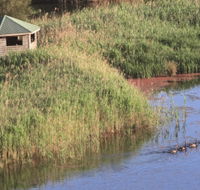 Spring Creek Bird Hide - Accommodation Sydney