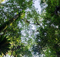 Botanic walk - Accommodation Sydney