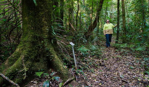 Botanic Walk - Accommodation Sydney 3