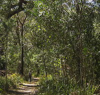 Sand track walk south - Accommodation Sydney