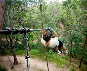 TreeTop Challenge - Accommodation Sydney 0