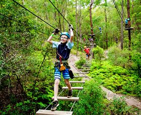 TreeTop Challenge - Accommodation Sydney 1