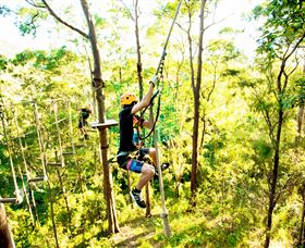 TreeTop Challenge - Accommodation Sydney 3