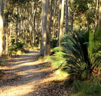 Square Head track 2 - Accommodation Sydney