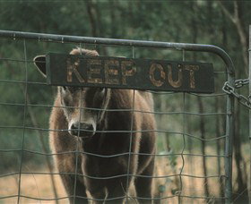Old Nerrigundah Settlement Trail - Accommodation Sydney 1