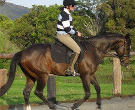 Kings Creek Saddle Club - Accommodation Sydney 6