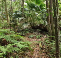 Durras Lake Discovery trail - Accommodation Sydney