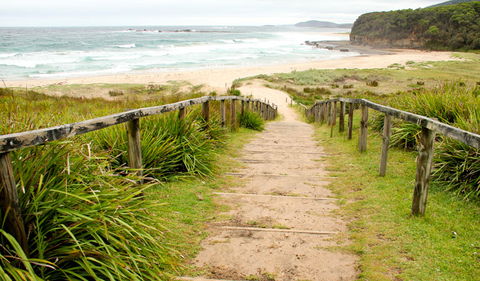 Pretty Beach To Durras Mountain Walking Track - Accommodation Sydney 0
