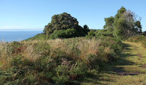 Pretty Beach To Durras Mountain Walking Track - Accommodation Sydney 2