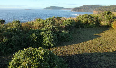 Pretty Beach To Durras Mountain Walking Track - Accommodation Sydney 3