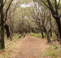 Pretty Beach to Snapper Point walking track - Accommodation Sydney
