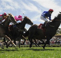 Moruya Racecourse - Accommodation Sydney