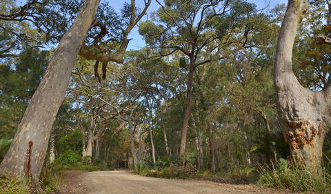 North Head Lookout - Accommodation Sydney 1