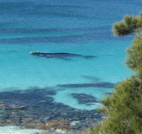 Jervis Bay Marine Park - Sydney Resort